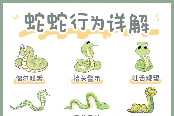生肖蛇与贪婪成性的解析-红迪亚