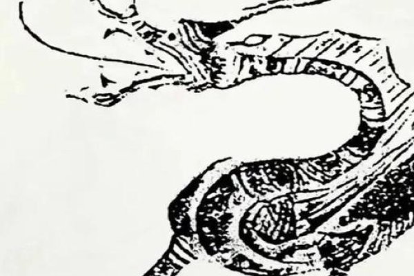 生肖中的变化之王，龙的神话般转变-红迪亚