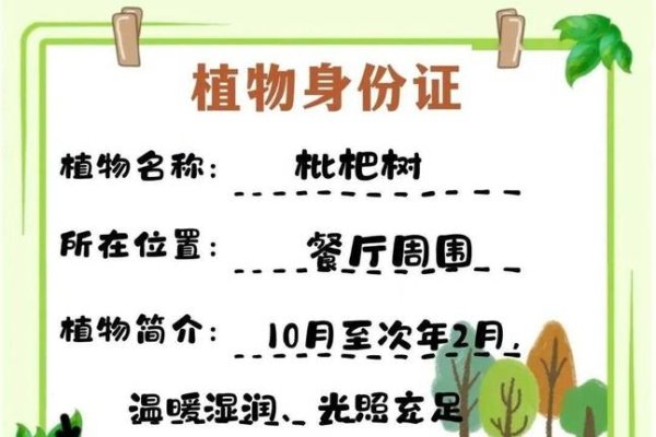 身份证号码与性格测试及命理解析，揭秘背后的真相！-红迪亚