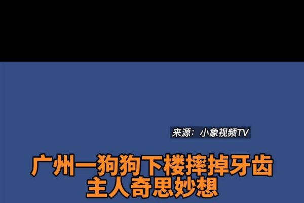 三寸之舌猜生肖狗-红迪亚