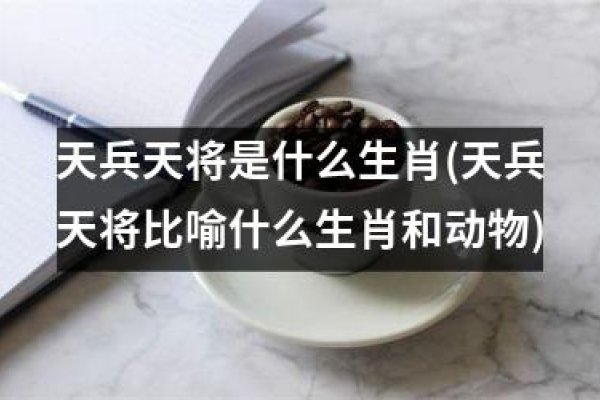 天兵天将代表的生肖，龙、猴与猪的象征解析-红迪亚