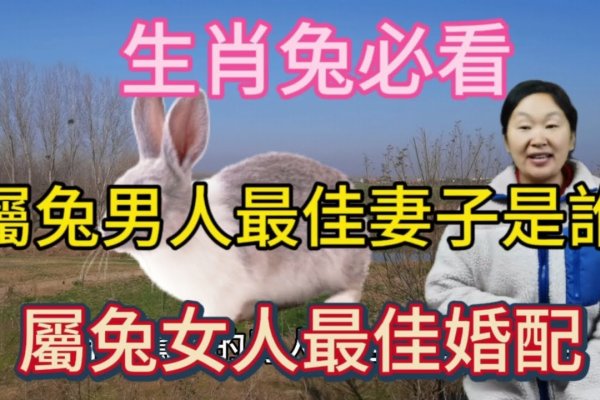 天生一对成伴侣打一生肖是兔-红迪亚