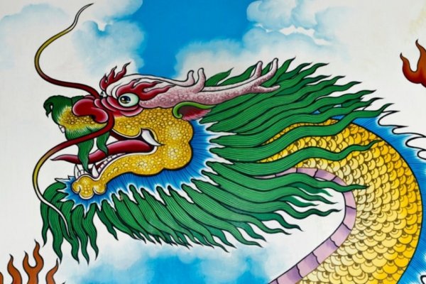 天下独孤打一生肖，龙，象征帝王的孤独与权威。-红迪亚