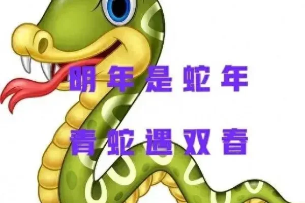 万古长青相关的生肖解析，龙与蛇成谜，数字9或与之相关-红迪亚