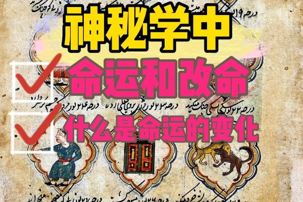 外格解析，命运之灵运与社交智慧-红迪亚