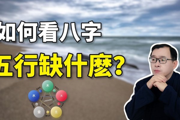 五行缺什么查询服务网站-红迪亚