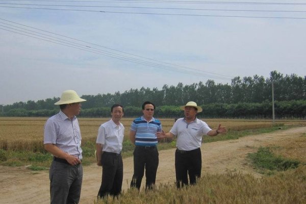 武清交友与传销活动，天津农学院，农业教育高地，武清视窗——本地信息平台-红迪亚