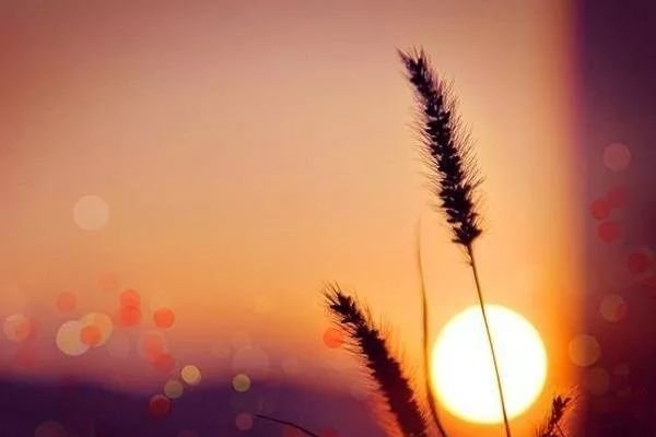 往事如烟，情逝似水——生肖之谜。-红迪亚