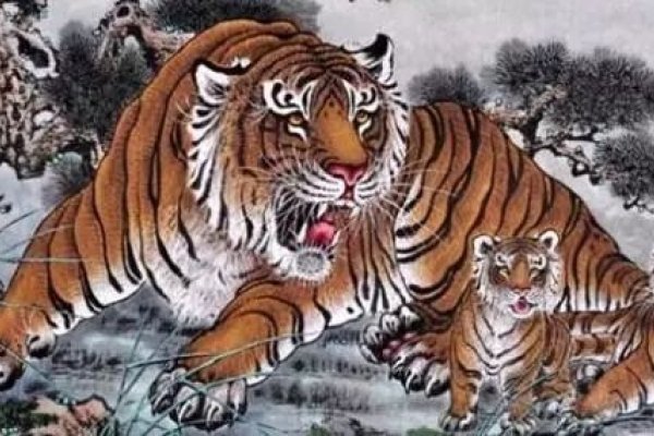 唯吾独尊解读，生肖龙/虎的尊贵与独特性格特征-红迪亚