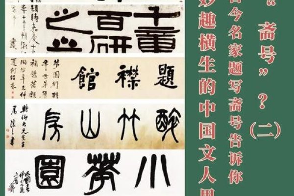 文化书斋名字-红迪亚