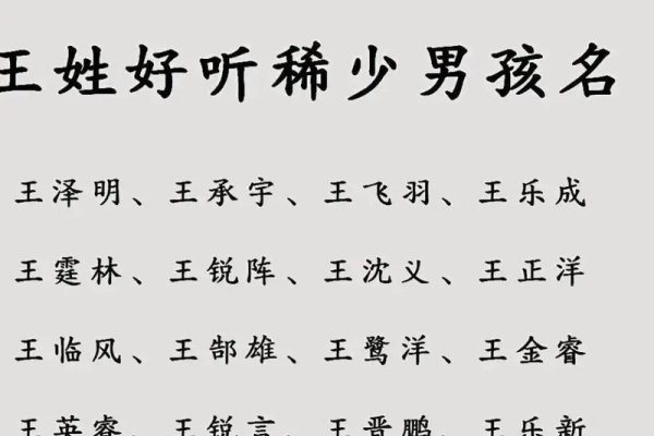 王姓男孩名字大全及寓意，阳光霸气之选，提供多个精选的王姓男孩名字，如瑜辰、景坤等，均带有美好寓意。-红迪亚