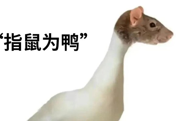 望子成龙指鼠也。-红迪亚