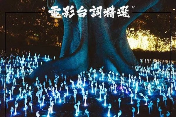 心安理得，生肖之猪。-红迪亚