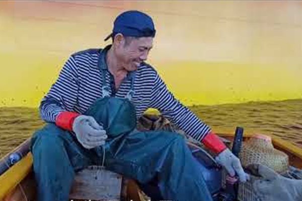 鱼吃人梦境解析，财富机遇背后的挑战与压力-红迪亚