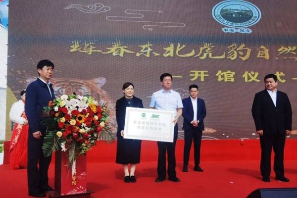 珲春文化交流与信息发布平台-红迪亚