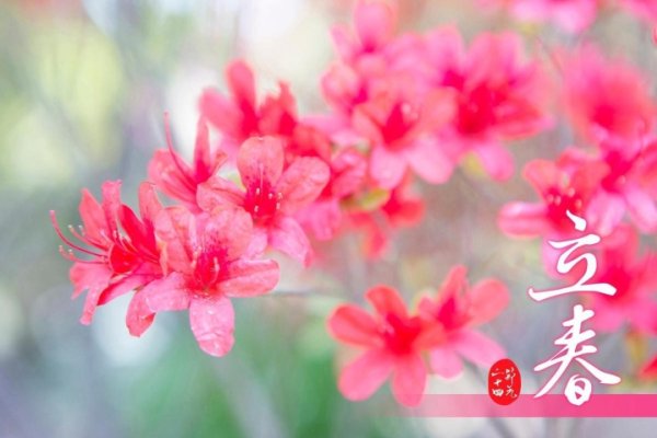 躲春2023，具体时间与属相应对策略-红迪亚