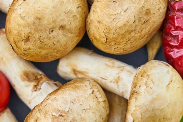 蔬菜英文名字大全，仅供参考，如需更多信息可查阅相关文献或访问权威的英文名命名网站。-红迪亚