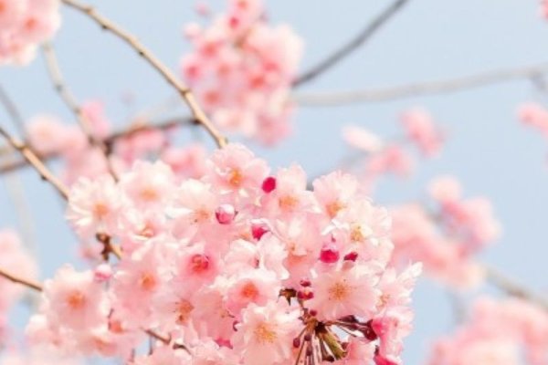 躲春指南，2024与2025年如何正确躲避立春霉运？-红迪亚