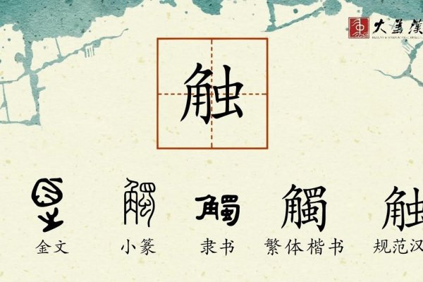 触的拼音及释义-红迪亚