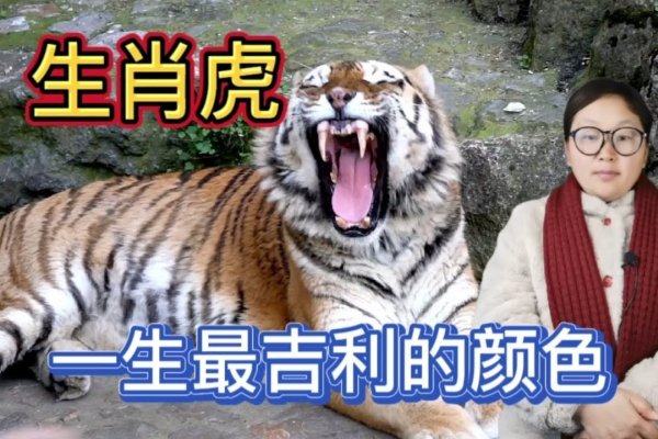 男儿本色代表生肖虎。-红迪亚