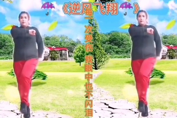 逆风飞翔的独特QQ名-红迪亚