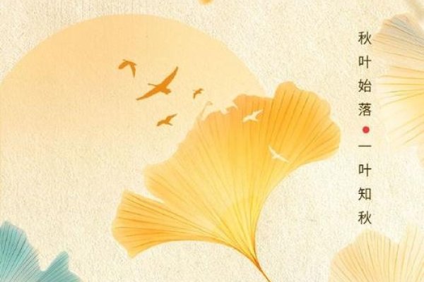 秋分节气-红迪亚