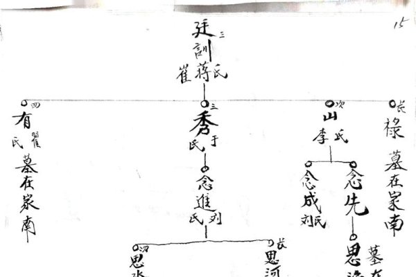 免费家谱查询指南，多个在线平台助你寻根溯源建议，线上家谱资源大解密，轻松查找家族历史信息-红迪亚