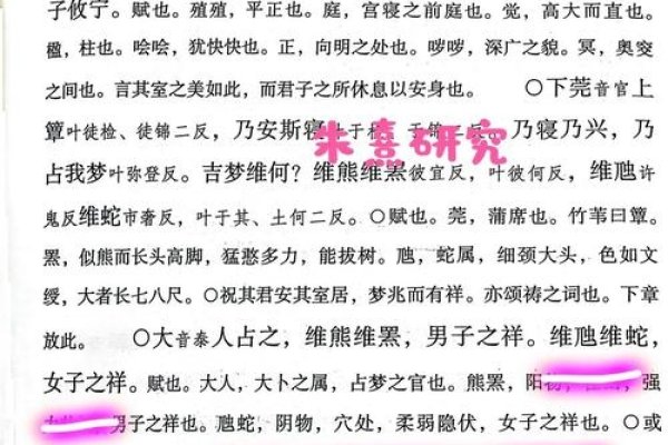孕妇梦见蛇预示生男生女及其意义-红迪亚