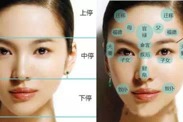 寡妇面相特征解析，额头宽大、发际高，鼻子大却无肉或鼻骨有暗纹等，均预示夫妻缘分薄弱或有生离死别之兆。此外，脸型宽阔、下巴短小、眉不盖棱及发重耳反等特点也暗示着可能克夫或婚姻不幸。-红迪亚