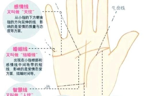 免费算命在线测子女缘-红迪亚