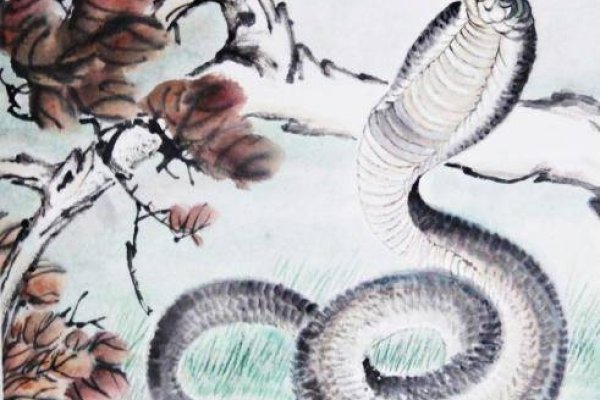 斜风细雨代表生肖蛇，神秘、细腻且富有诗意-红迪亚