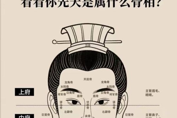 颧骨高耸的男人，性格、财运与婚姻解析-红迪亚