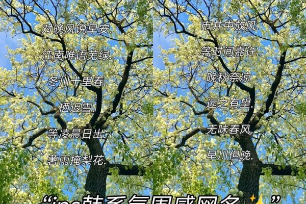 韩国网名精选，浪漫、复古与独特风格融合的名字大全-红迪亚