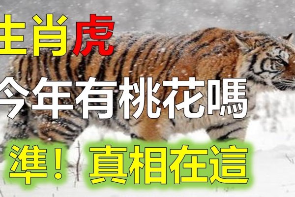 桃花初开，虎生肖显生机。-红迪亚