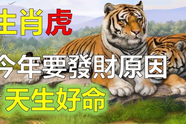 属虎人克星盘点-红迪亚