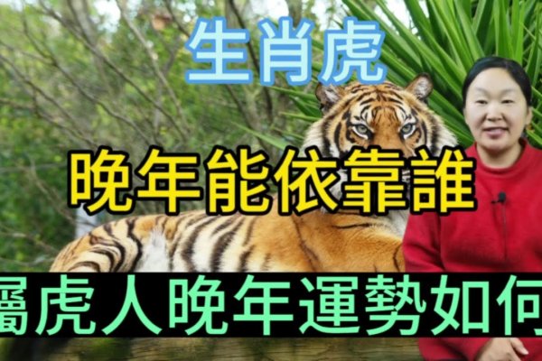属虎人2011年运势及运程解析，事业上升，感情需谨慎-红迪亚