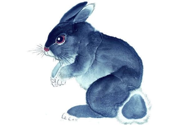 炉火纯青与生肖之谜，蛇、猴还是另有玄机？-红迪亚