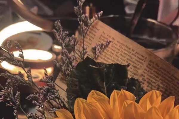 垫江交友-红迪亚