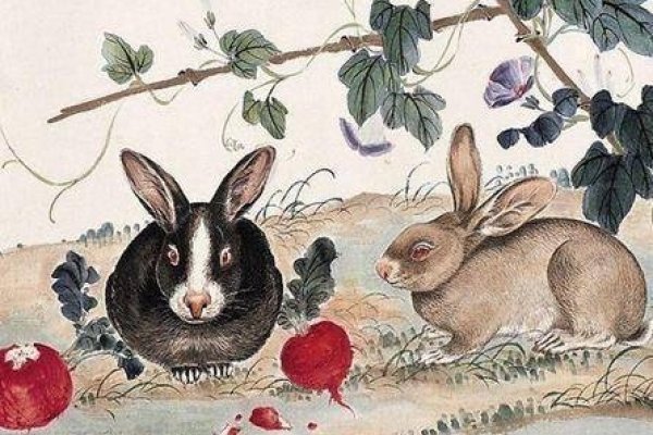 小家碧玉打一最佳准确生肖是兔-红迪亚