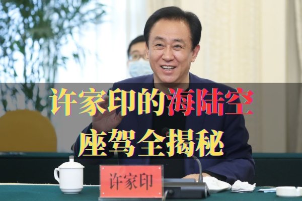 许家印的飞机与专业建议-红迪亚