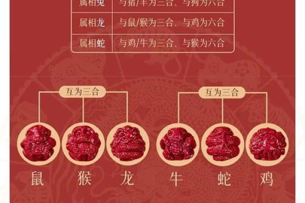 属龙的最佳配偶，生肖鸡、猴、鼠建议，属龙的婚姻佳配，生肖鸡猴鼠的缘分解析-红迪亚