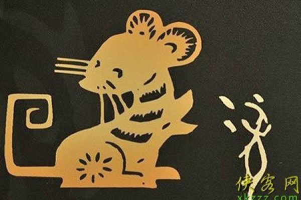 杨老师紫微命理解析，女鼠之命运-红迪亚