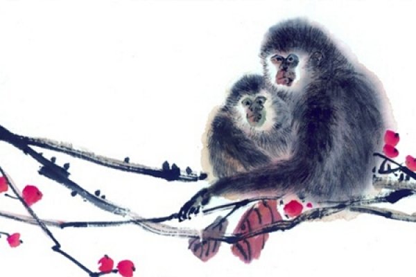 缘来是命，生肖揭晓，猴的解密-红迪亚