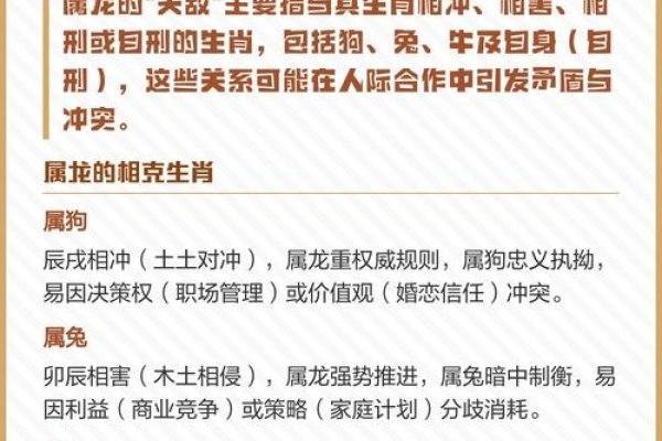 属龙最配生肖及相克表-红迪亚