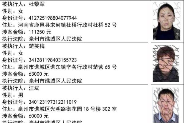 姓名查询失信名单方法-红迪亚