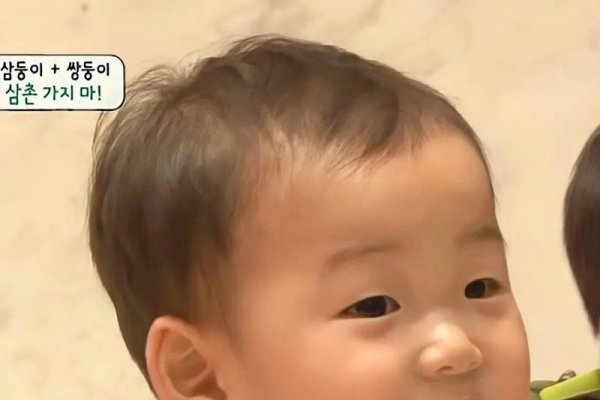 宋民国表情包，从萌娃到社交热门符号的蜕变-红迪亚