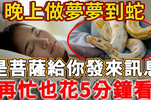 蛇梦解析之夜夜见蛇吉凶预兆-红迪亚