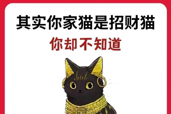猫梦解析，好运、财富与情感预示-红迪亚
