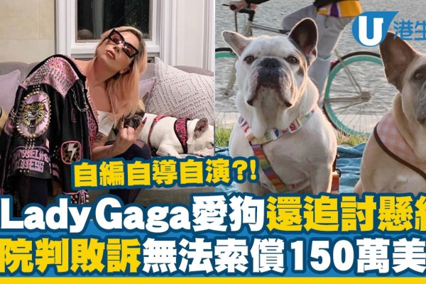 欧美流行天后Lady Gaga与宠物狗名字背后的故事，概括了上述内容的多个方面，包括关于Lady Gaga的介绍、不同语言中我爱你的表达方式以及牡丹鹦鹉的叫声分析等内容。同时，宠物狗的名字背后的故事也涵盖了给狗狗起名的相关内容，简洁明了地表达了文章的主题。-红迪亚