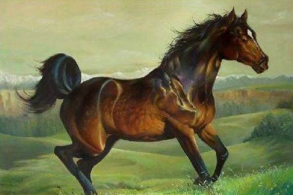 属马人一生最克的三大生肖1、属鼠；，2、属牛；，3、属兔。-红迪亚